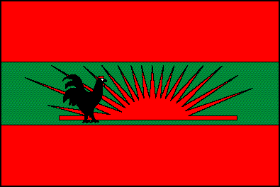 UNITA flag