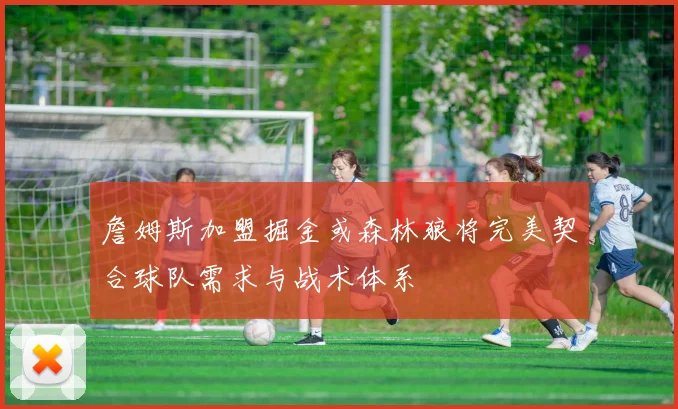 詹姆斯加盟掘金或森林狼将完美契合球队需求与战术体系