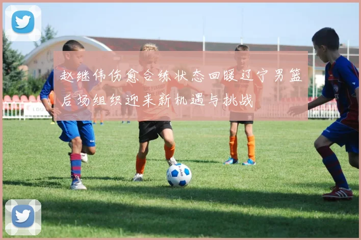 赵继伟伤愈合练状态回暖辽宁男篮后场组织迎来新机遇与挑战
